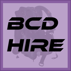 Bcd Hire On Charter
